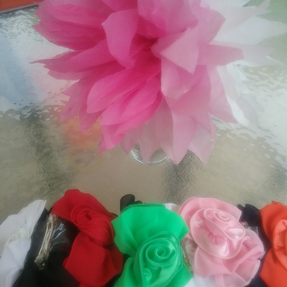 Hair clips - Picture 1 of 1